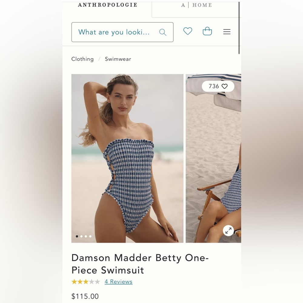 Damson Madder Blue and White One-Piece Swimsuit